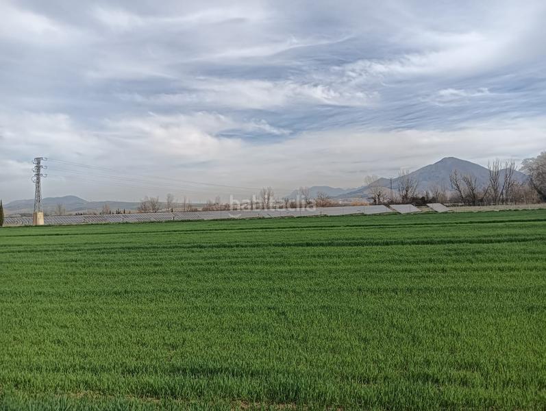 Foto 217c8572-4c81-4ba3-88a0-6af7556ed5f1. Propriété dans calle antonio gálvez 5 dans Pinos Puente