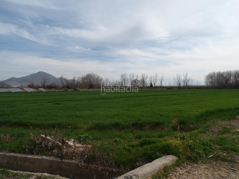 Foto 29b67f42-92cf-4ea8-aeeb-412d5a937c09. Propriété dans calle antonio gálvez 5 dans Pinos Puente