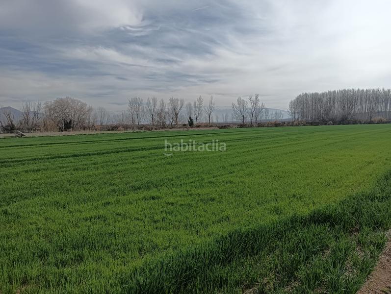 Foto 69b9bc44-2236-438b-8918-0fa879a511d4. Propriété dans calle antonio gálvez 5 dans Pinos Puente