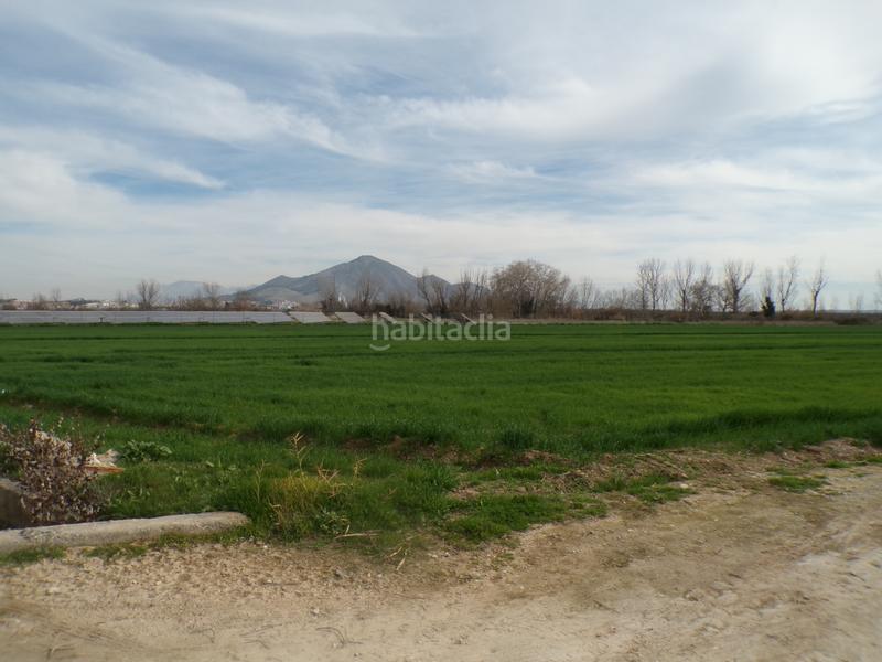 Foto 69f3dec9-6ac9-4584-9d07-0814edd9a291. Propriété dans calle antonio gálvez 5 dans Pinos Puente