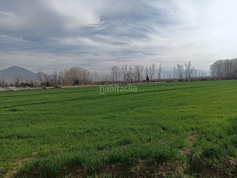 Foto b8b8f617-257b-4999-91bf-f99a392014b3. Propriété dans calle antonio gálvez 5 dans Pinos Puente