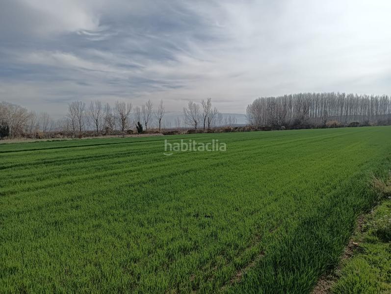 Foto bc7b686b-c3b8-4c52-a1e7-70dd12077777. Propriété dans calle antonio gálvez 5 dans Pinos Puente