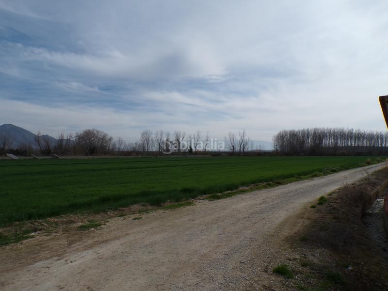 Foto c15213b1-aaae-4dae-bb2f-862c0fa3b953. Propriété dans calle antonio gálvez 5 dans Pinos Puente