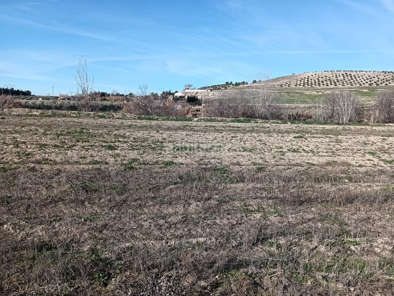 Foto 0070ae64-9da6-465a-a705-678110fb5978. Fondo rustico in Angustias - Chana - Encina Granada