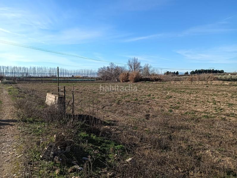 Foto 1893df59-fcb2-47d0-bc73-7894c2fffbbf. Fondo rustico in Angustias - Chana - Encina Granada