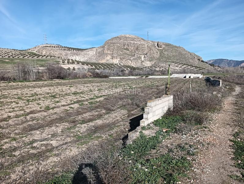 Foto 2c79905a-733e-41ed-a1fb-49bfbdd395e8. Fondo rustico in Angustias - Chana - Encina Granada