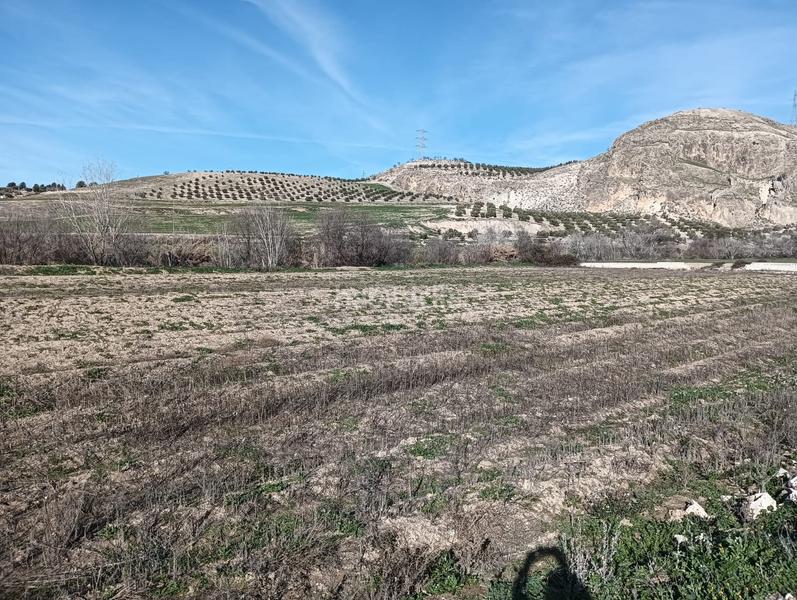 Foto 72e6f61b-7945-43a9-ac0a-a0d09f5db857. Fondo rustico in Angustias - Chana - Encina Granada