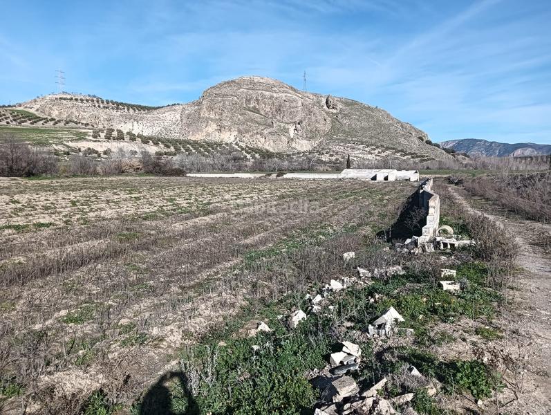 Foto 759d1ac1-e1b7-410f-b79c-a312b80e4972. Fondo rustico in Angustias - Chana - Encina Granada