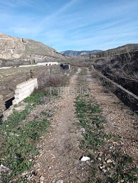 Foto b857da25-8de6-4931-8d03-831a445d95f3. Fondo rustico in Angustias - Chana - Encina Granada