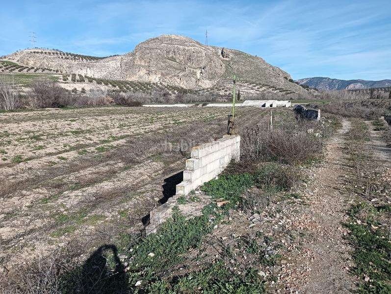 Foto ca2fe2a4-2eec-4a77-9752-0561236ac54d. Fondo rustico in Angustias - Chana - Encina Granada