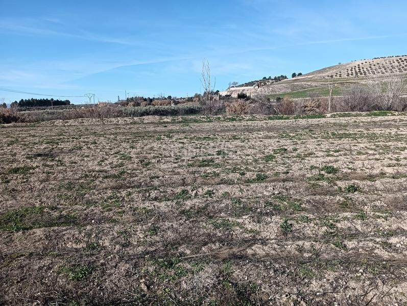 Foto d4186fba-a34e-47dc-b8b0-9ee1d560ff6e. Fondo rustico in Angustias - Chana - Encina Granada