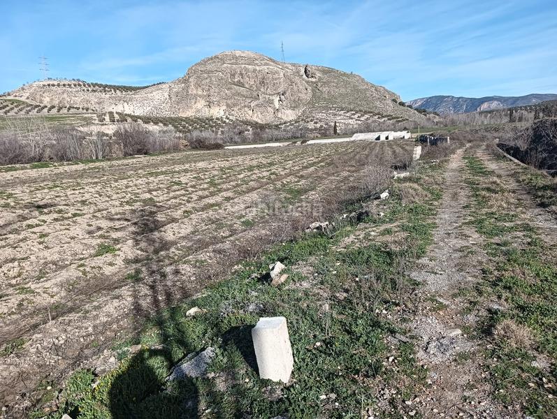 Foto dc376897-ff10-4508-9a63-34cfe240a49d. Fondo rustico in Angustias - Chana - Encina Granada