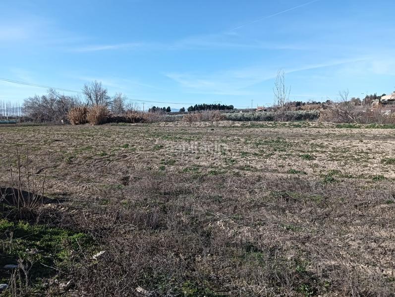 Foto e0a1957b-2a36-4c07-9324-f81902aed456. Fondo rustico in Angustias - Chana - Encina Granada