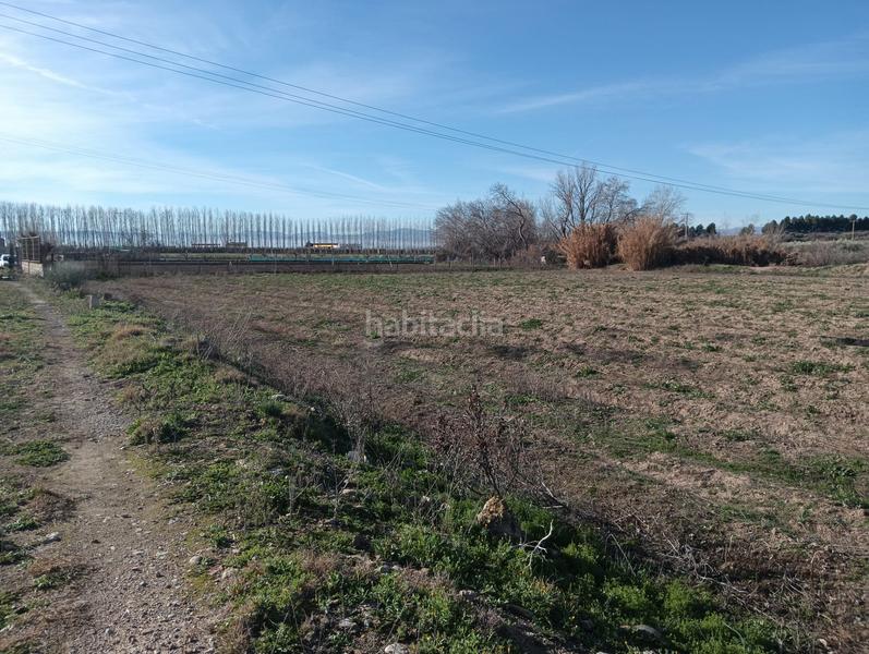 Foto f81cbd69-42e6-4ee7-9d41-beda43580151. Fondo rustico in Angustias - Chana - Encina Granada