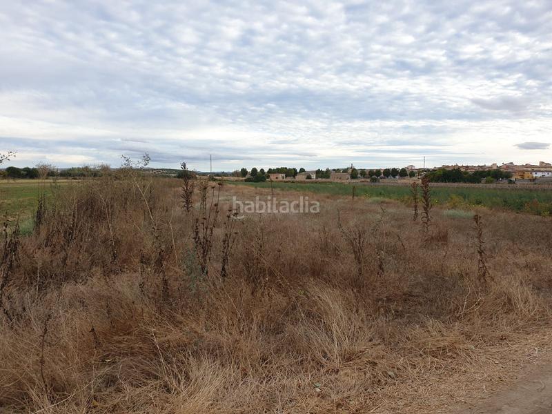 Foto 87b88c11-e529-4fec-8d1e-d3fc62d7c19c. Rural plot in calle lachar 2 in Láchar