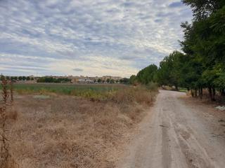 Landgut in Calle lachar 2. Excelente finca rustica de venta en lachar