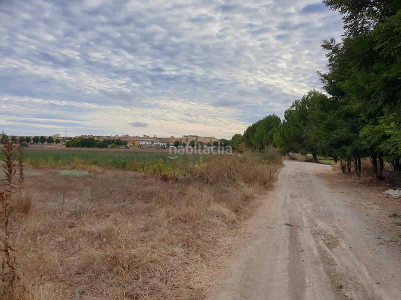 Foto 8dc54ba9-2114-4974-8a04-a0fa68371cd5. Rural plot in calle lachar 2 in Láchar