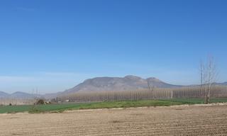 Propriété à Autovía de santa fe a granada 8. Hermoso finca rustica de venta en santa fe