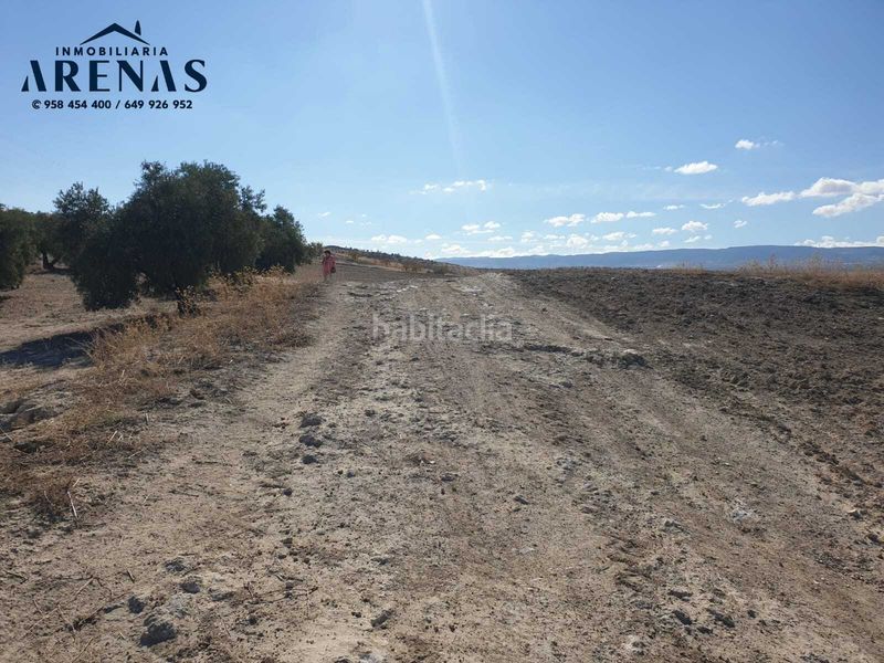 Foto 0b87704a-3268-40b4-9986-845c76760c1a. Finca rústica a avenida de granada 4 a Chimeneas