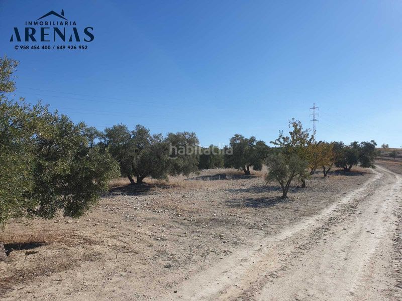 Foto 0c4d2f71-ed5d-4542-b03b-739742933d59. Finca rústica a avenida de granada 4 a Chimeneas