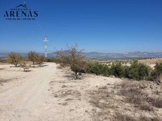 Landgut in Avenida de granada 4. Gran finca de olivos en chimeneas