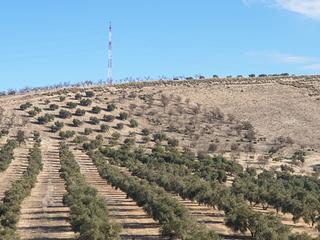 Propriété à Chimeneas. Gran finca de olivos en chimeneas