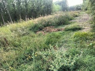 Landgut  Paseo del prado. Se vende bonita parcela de tierra en fuente vaqueros