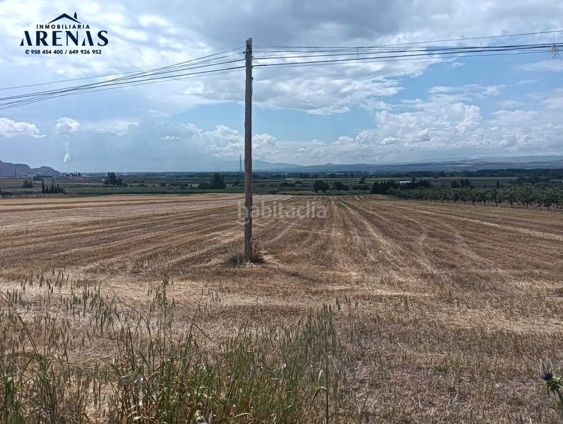 Foto 285cf6ad-0663-4f76-88cd-b0a44bad1794. Finca rústica a Pinos Puente