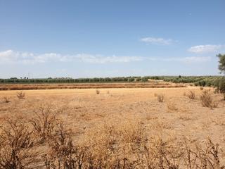 Rural plot in Chauchina