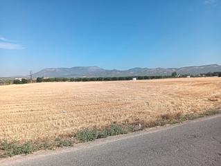 Propriété à Pinos Puente. ¡finca rustica con construcción a reformar y pozo propio en esco