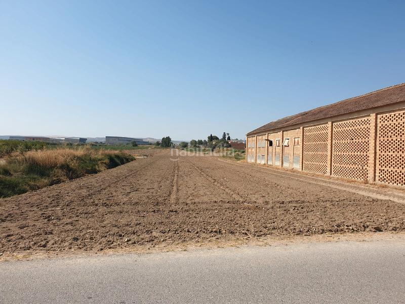 Foto 29a8e9c8-4c6a-49cf-abca-0bc92bcb087a. Rural plot in Chauchina