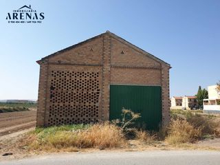 Finca rústica a Chauchina. ¡gran finca rústica con secadero en chauchina!
