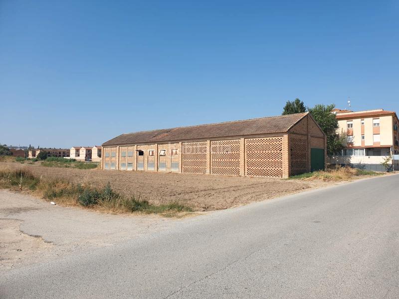 Foto a4db8ec9-8833-4ccc-92bd-5b2f61f95f8c. Rural plot in Chauchina