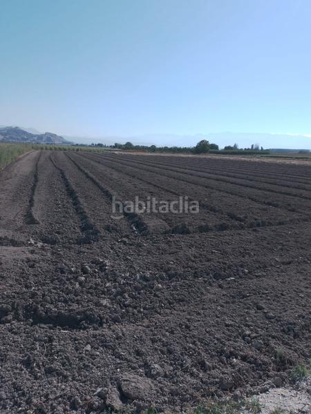 Foto 27f10ed9-5cc1-40fa-aeda-a75a129a694f. Alquiler finca rústica solar agrícola - alquiler 600 euros al año en Pinos Puente