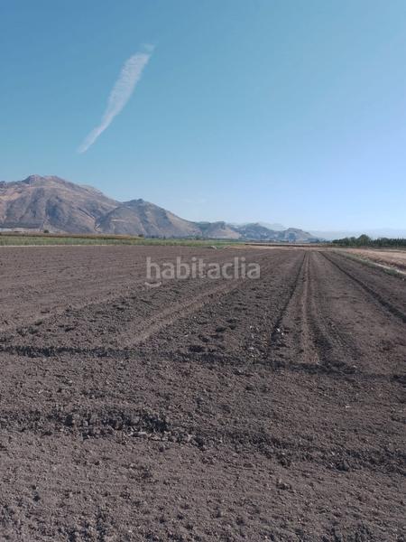 Foto 3ef38c15-92dc-458e-a5e6-0c9c1e8c8456. Alquiler finca rústica solar agrícola - alquiler 600 euros al año en Pinos Puente