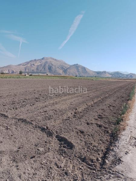 Foto e57c90bb-0343-4216-8669-fa04eb0bcb85. Alquiler finca rústica solar agrícola - alquiler 600 euros al año en Pinos Puente