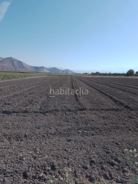 Foto e7a78b1c-5745-4659-99ef-2714122f6e56. Alquiler finca rústica solar agrícola - alquiler 600 euros al año en Pinos Puente