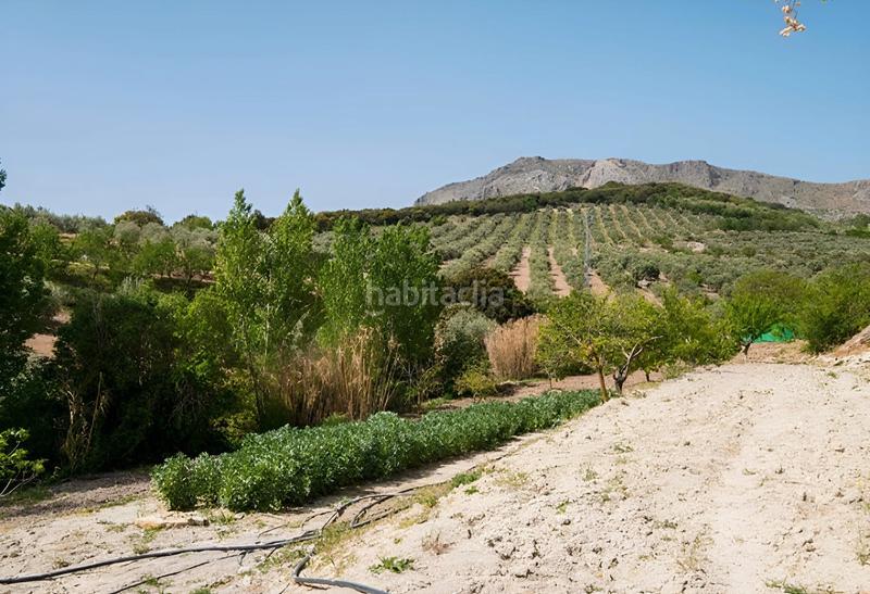 Foto 99eeceb6-ef8d-43f4-b4b1-311dbd3439fd. Finca rústica a Íllora