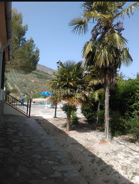 Foto c6abe359-dc2e-4b0d-9b48-becd0b5aae20. Finca rústica a Íllora