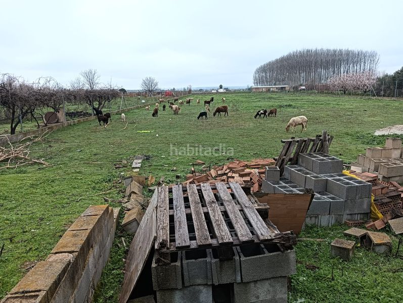 Foto 683f608c-fe0a-4c16-8722-dd57f385f865. Finca rústica a Fuente Vaqueros