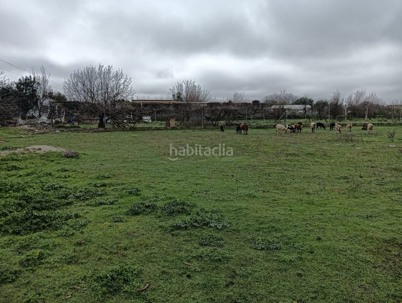 Foto 94e3a926-0cb5-4156-a9fb-cc4d939127f7. Finca rústica a Fuente Vaqueros