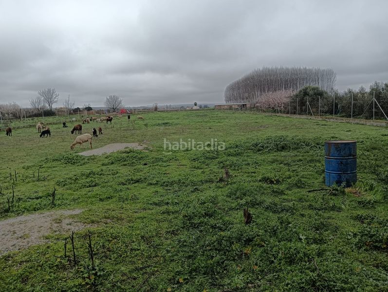 Foto 9b1f816d-4849-4cb6-9b15-a7c66397b924. Finca rústica a Fuente Vaqueros