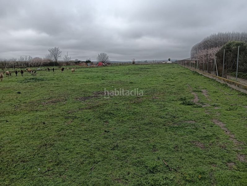 Foto d777af4c-0e5f-421f-b65d-9903867c292a. Finca rústica a Fuente Vaqueros