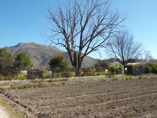 Finca rústica  Calle pedro salinas. Terreno en venta en pedro ruiz