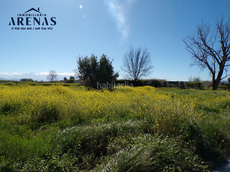 Foto ac5f400c-0549-409c-8cbd-aed29e9b748a. Finca rústica a Fuente Vaqueros