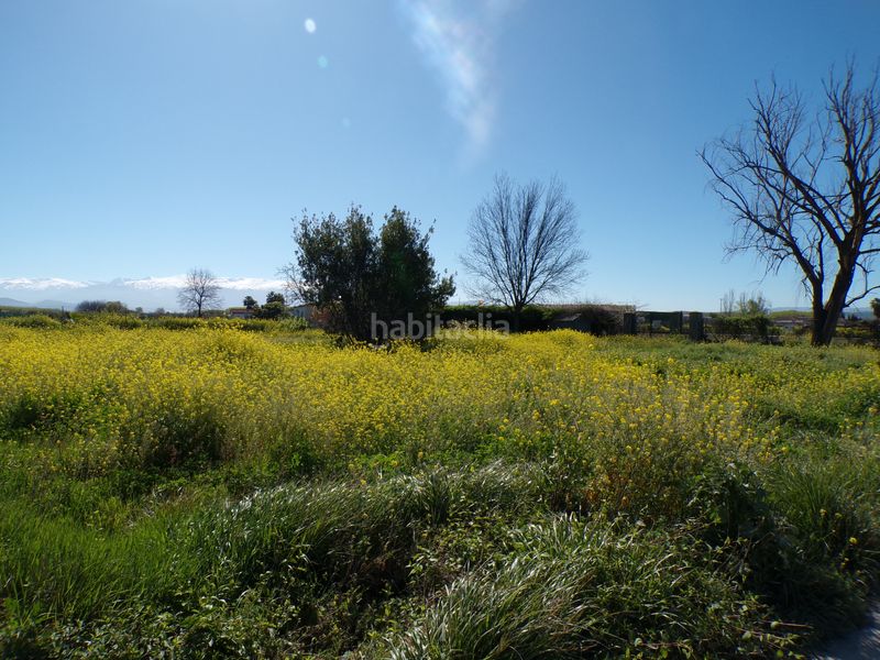 Foto d1a2a972-b0eb-4436-88ea-93d2904a9ecb. Finca rústica a Fuente Vaqueros