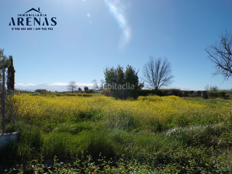 Foto da2b6626-3301-4523-97cb-067753f16dbd. Finca rústica a Fuente Vaqueros
