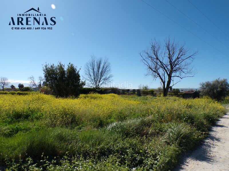 Foto dbe01e93-76aa-4c9e-bd25-035c8b038829. Finca rústica a Fuente Vaqueros