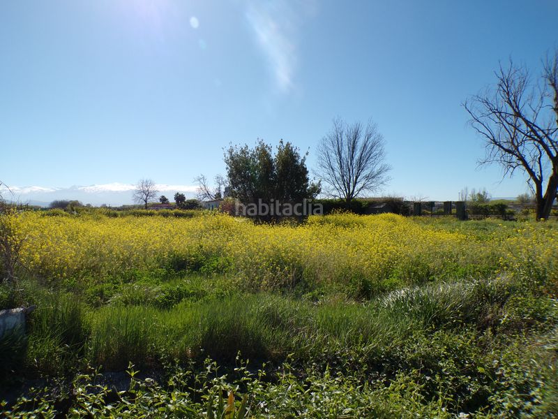 Foto e818ced5-5d3c-47d7-b57d-979d0b01a487. Finca rústica a Fuente Vaqueros