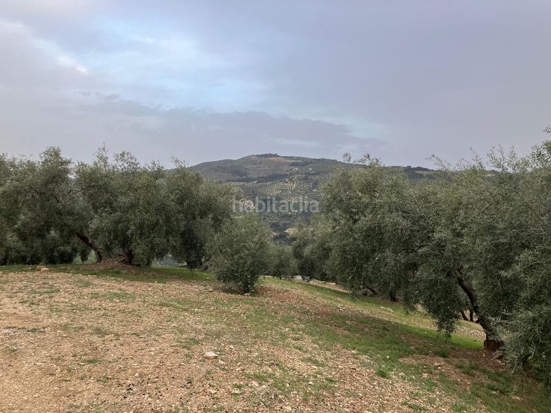 Foto 50f7735e-70e5-4296-898f-547b3a073728. Finca rústica a Íllora